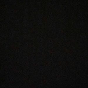 Meet your Posher, Owen